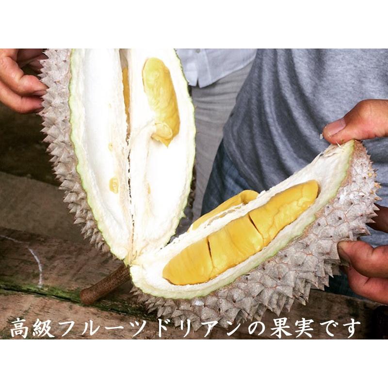 ドリアン 猫山王 榴蓮 マレーシア産 冷凍200gパック×3箱セット : 中国