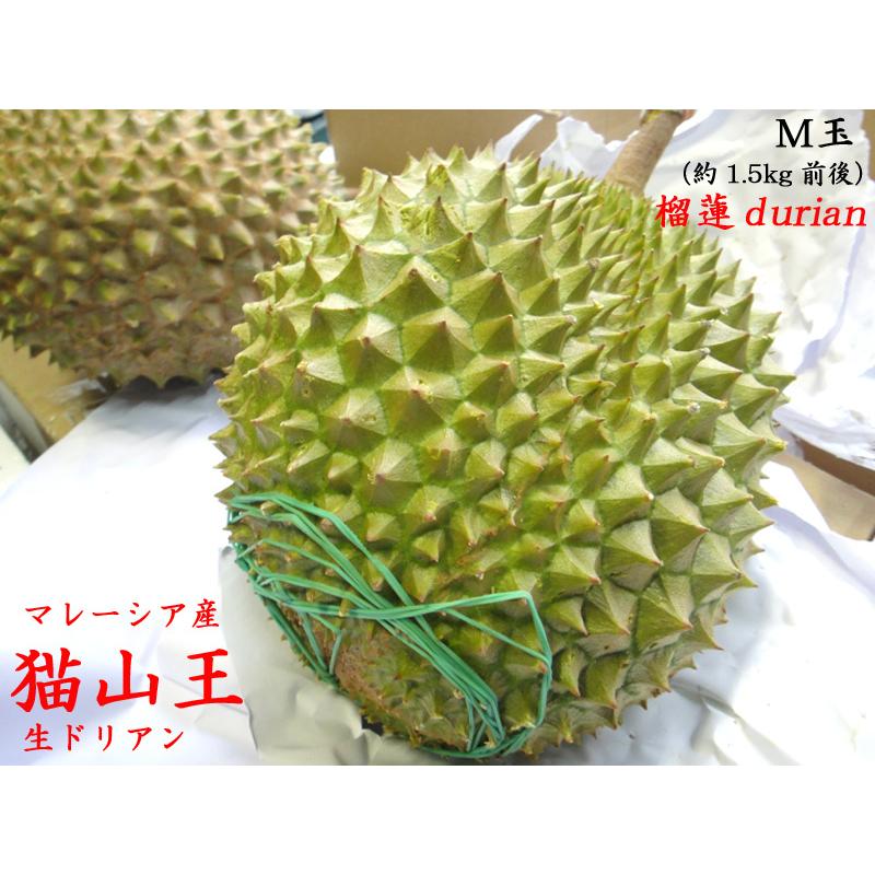 ドリアン 猫山王 マレーシア産 生 M玉 予約販売 181dwm 中国超級市場オンライン 通販 Yahoo ショッピング