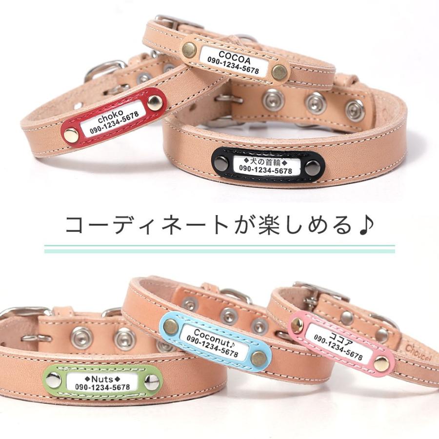 犬 首輪 犬の首輪 迷子札 名前入り ネームタグ 小型犬 革 革製 皮 本革 レザー 栃木レザー ヌメ革 おしゃれ かわいい カラー シンプル 10mm 名前入り Dc019 Choupet 通販 Yahoo ショッピング