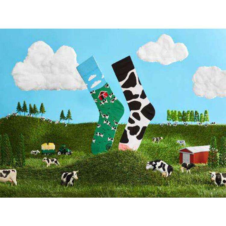 メニーモーニングス 靴下 レディース MANY MORNINGS メニーモーニングス Regular Socks Animals レギュラー ソックス アニマル 動物 レディース 春 夏 秋 冬 | MANY MORNINGS | 01