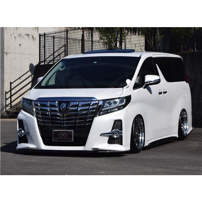 自動車 アルファード 30系 前期 Sグレード フロントフラップスポイラー