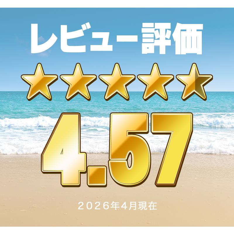 時計ベルト 腕時計バンド BC ボネット・シンチュリーニ ラバー リバーシブル 18mm20mm22mm24mm【交換工具・ばね棒つき】の画像