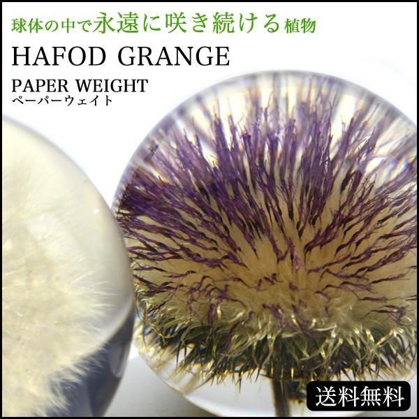 Hafod Grange ハフォドグレンジ PAPER WEIGHT ペーパーウェイト