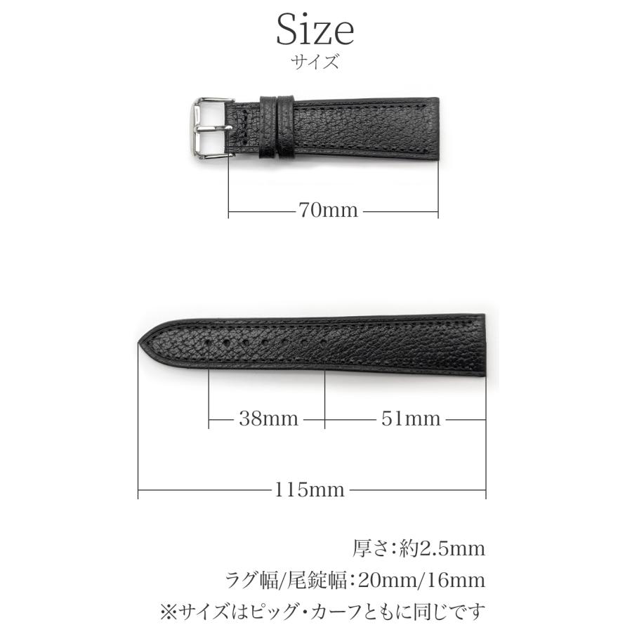 TORRE トーレ OMEGA speedmaster オメガスピードマスター専用 ピッグ