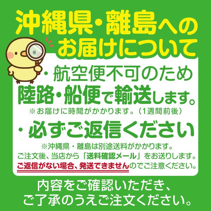 イトキン グリドル TYS600A ☆代引・送料無料☆お好み焼き やきそば