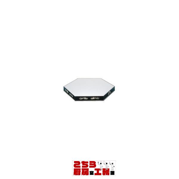 Yukiwa ステンレス製 六角型ミラープレート 20インチ アクリル（9-1734-0601）