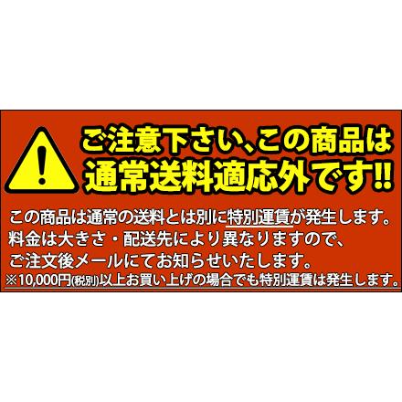 ガス 餃子焼き器 No.18W LPガス（プロパン） 鍋タイプ:ダブル （運賃別途）（takumi）｜chubonotakumi｜02
