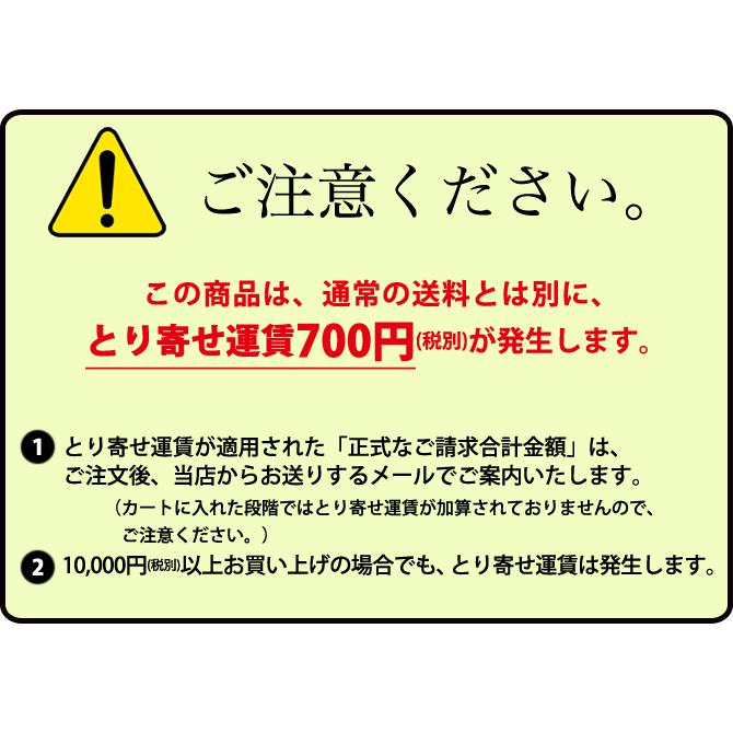 まな板 耐熱 住友 スーパー耐熱まな板 カラーライン付 20SWL青（運賃