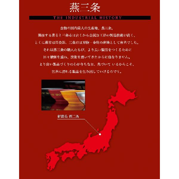 メタル丼 サーラ レギュラー（直径30cm）塗装仕様 赤（18-8ステンレス製）（takumi）_1