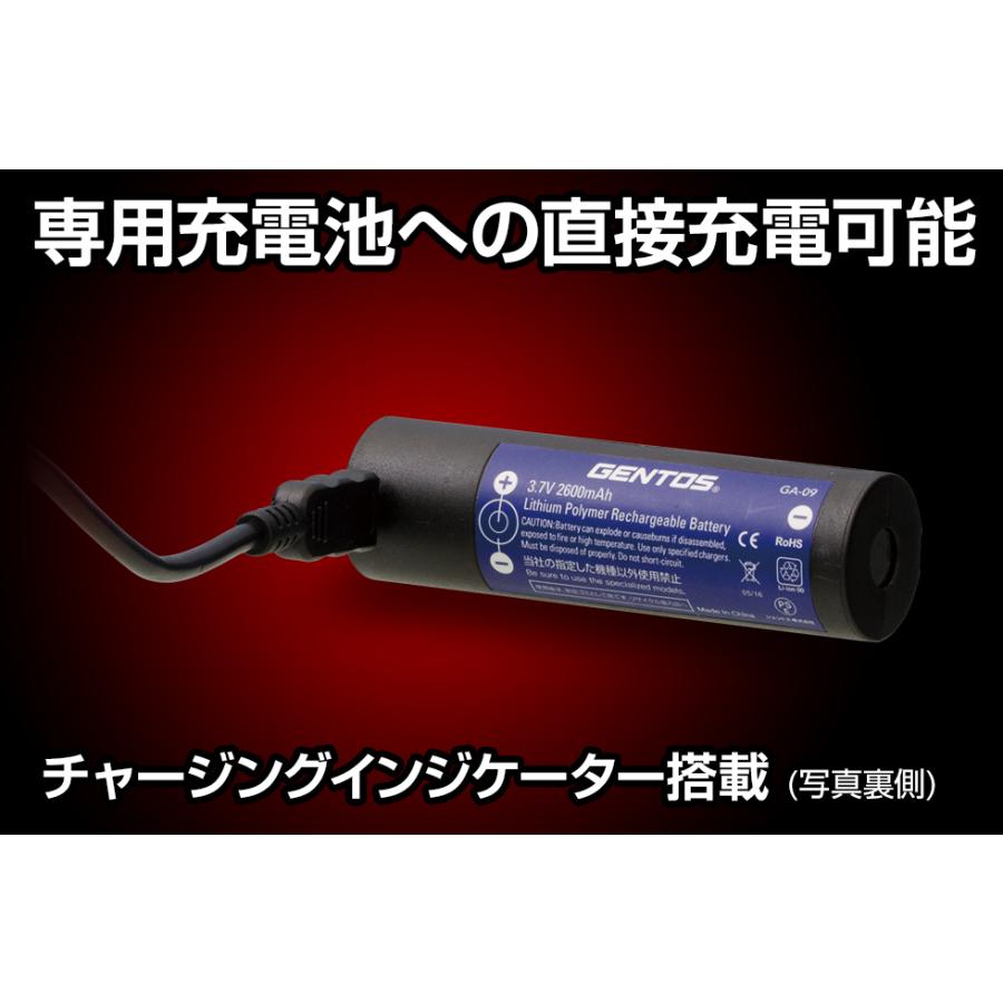 GENTOS DIO DI-186R COB LEDとチップLED搭載 明るさ500ルーメン | GENTOS | 03