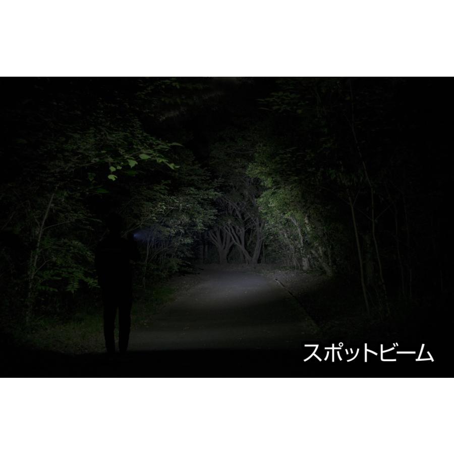 GENTOS 閃 FLP-2305 (SG-501の型番違い) 明るさ320ルーメン 単3電池2本 ポーチ付 | GENTOS | 02