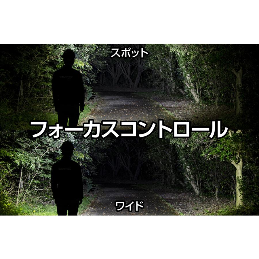 GENTOS ヘッドライト Gシリーズ GH-118RG 650ルーメン 専用充電池 / 乾電池兼用 | GENTOS | 05