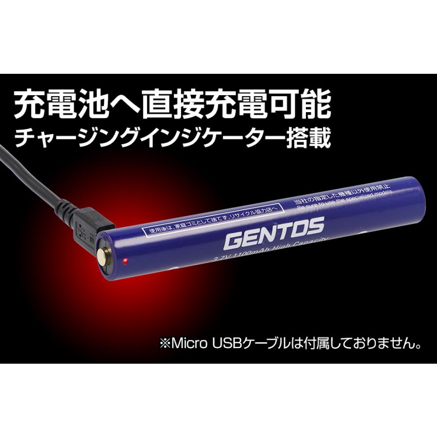 GENTOS 専用充電池 MG-32SB  MG-932H / KDHT-2115 / FLP-2107専用充電池 | GENTOS | 01