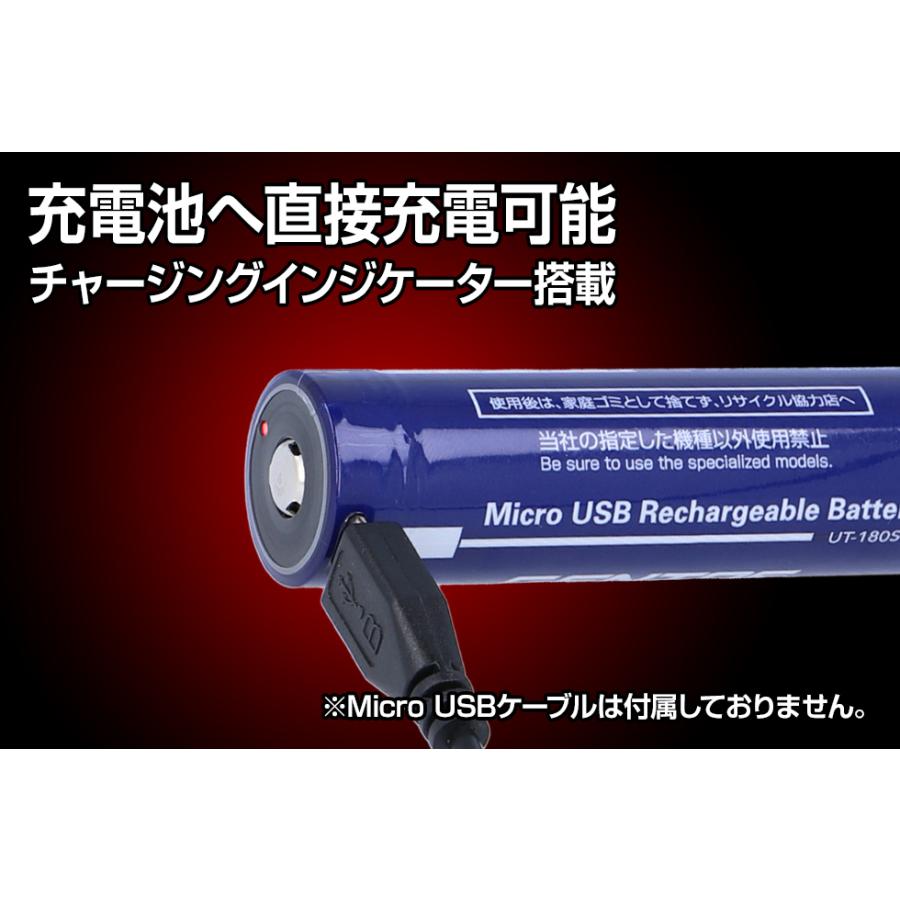 [在庫あり] GENTOS 専用充電池 UT-180SB (UT-1900R DI-217R) 専用充電池 | GENTOS | 01