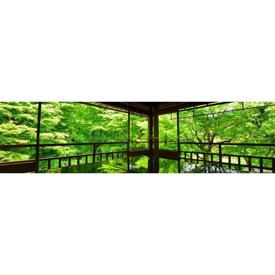 壁紙ポスター 住宅設備 はがせるシール式 パノラマ 京都八瀬の瑠璃光院の春の特別拝観 内装 壁紙 日本の絶景 新緑が反射する床もみじ 絵画風 地球の撮り方