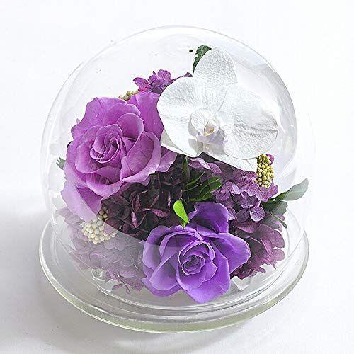 超人気の 母の日 21 プレゼント 花 ギフト プリザーブドフラワー 胡蝶蘭のガラスドーム L リニューアル パープル バラ 胡蝶蘭 花 中部スマートマーケット 通販 Yahoo ショッピング お気にいる Missbargainhuntress Com