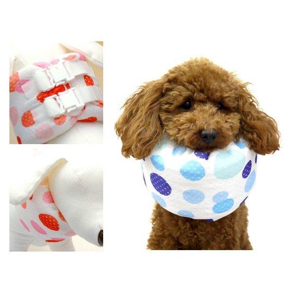 ペットヘルスケア クインカラー25 ドット柄（2色）犬介護グッズ クー