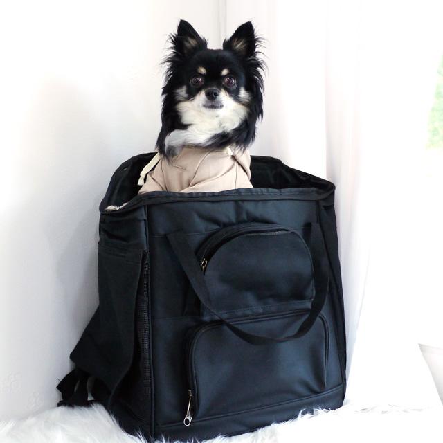 名入れ刺繍対応 ペットリュック ペットキャリー 旅行 通院 防災 電車