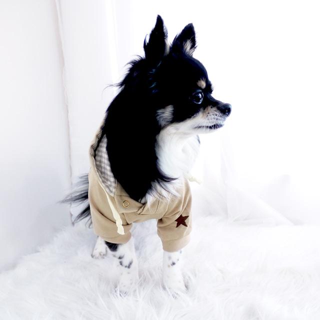 大きいサイズ ベージュパーカー タンク 3L〜5L スウェット ドッグ