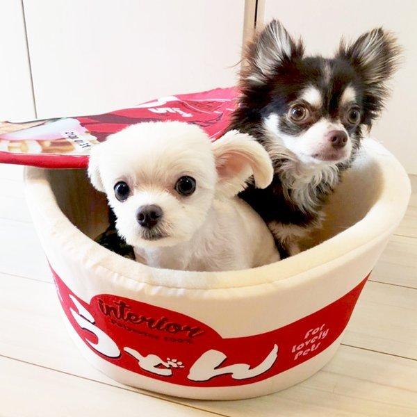 正規品 大人気 おもしろカップ麺ベッド ペットハウス うどん そば ラーメン 犬猫 ペット用品 Pbe150 Anzudog あんずドッグ 通販 Yahoo ショッピング