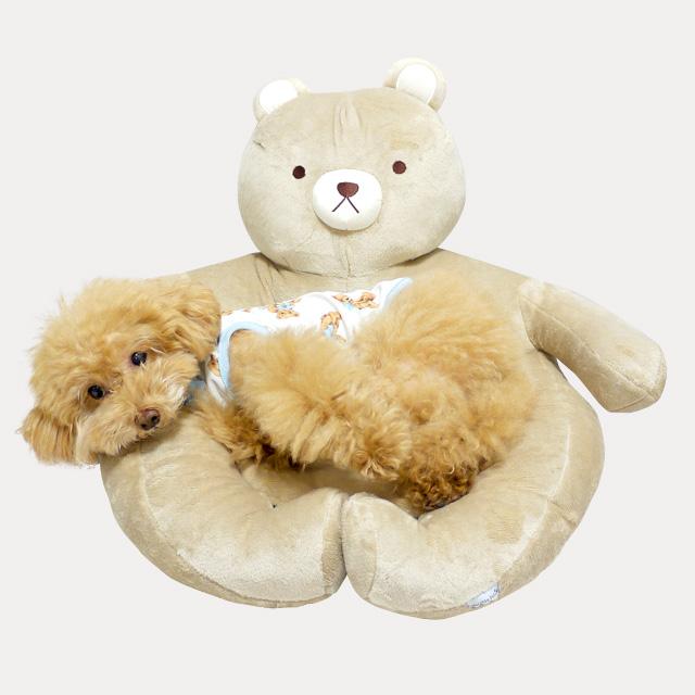 【アップルパンさま専用】 アドキュート&アドパッション1セット アップルパンさま専用】 アドキュート&アドパッション1セット