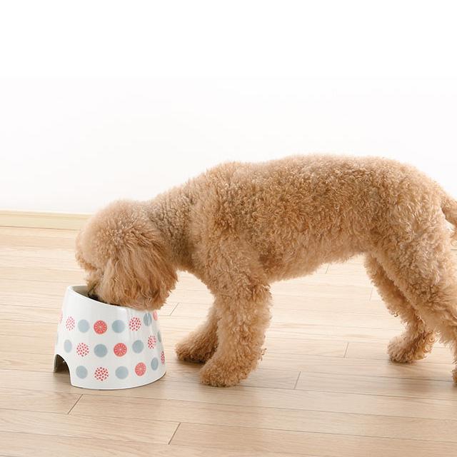 ワンちゃんの高さがある食器 水玉 SS リッチェル犬用食器 フードボウル