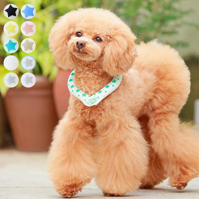 2023 SUO 28℃ ICE COOL RING クールリング LLB ボタン付き 犬用 ペット