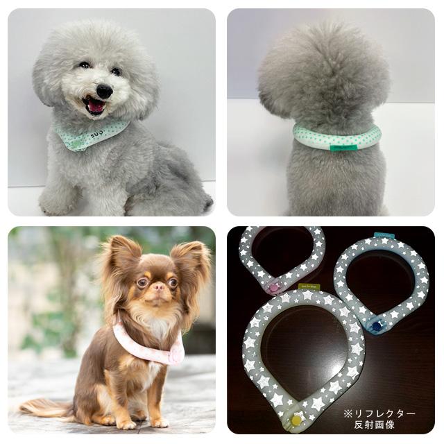 2023 SUO 28℃ ICE COOL RING クールリング LLB ボタン付き 犬用 ペット