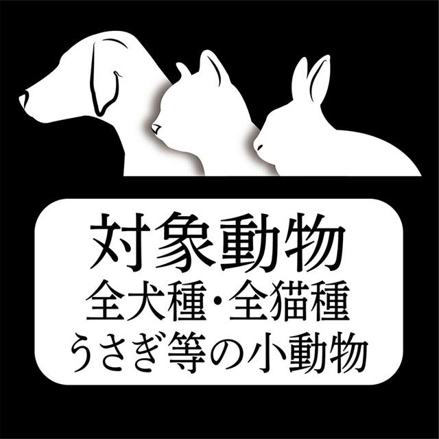 プロフェッショナルスリッカーブラシ M ヘアケア 犬 猫 ペット用 ペティオアドメイト｜chuchutail｜03