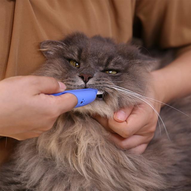 ライオン PETKISS 指サック歯ブラシ コンパクト 1本 デンタルケア 犬猫 ペット｜chuchutail｜02