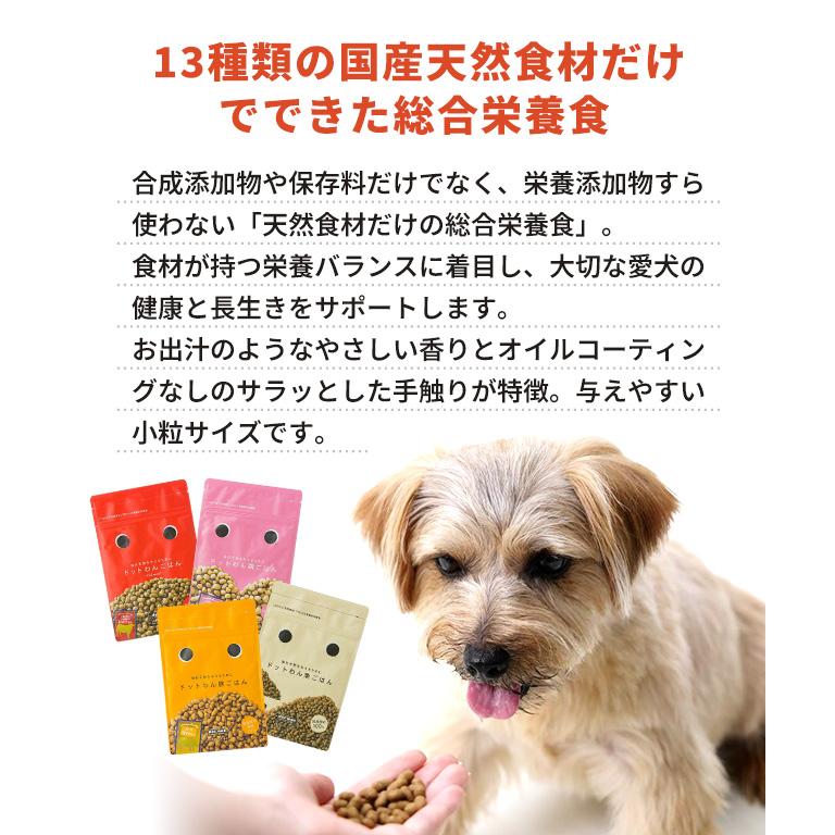 おまけ付き】 dotwan ドットわんごはん4種セット+ドットわんカツオ薫り