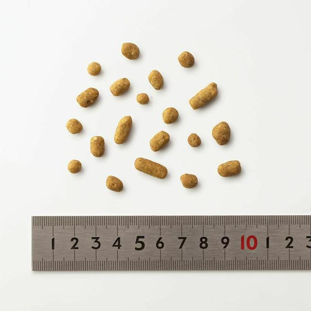 おまけ付き】 dotwan ドットわん 鶏ごはんお得用パック 3kg（1kg×3