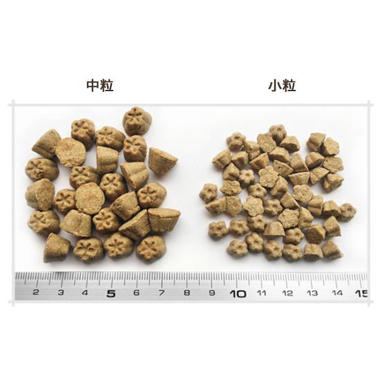 LOTUS ロータス グレインフリー フィッシュレシピ （小粒） 80g 犬用