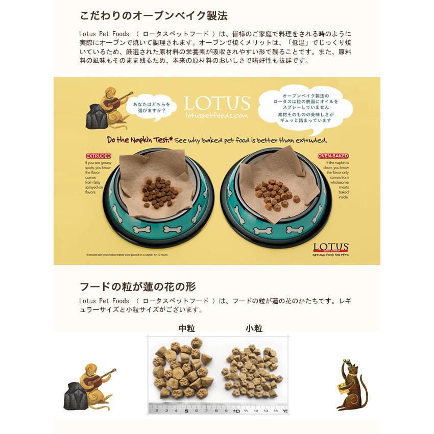 海外輸入 ロータス ドッグフードグレインフリーターキーレシピ2.２７kg