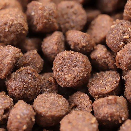 NATURE'S TASTE ドッグフード 3kg ×3 カンガルーサーモン