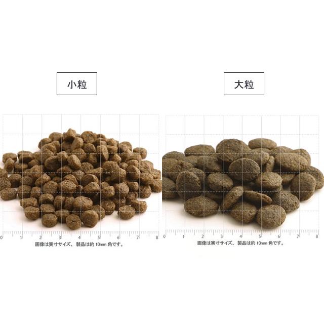 FISH4DOGS FINEST フィッシュフォードッグ ファイネスト FISH4DOGS FINEST フィッシュフォードッグ ファイネスト