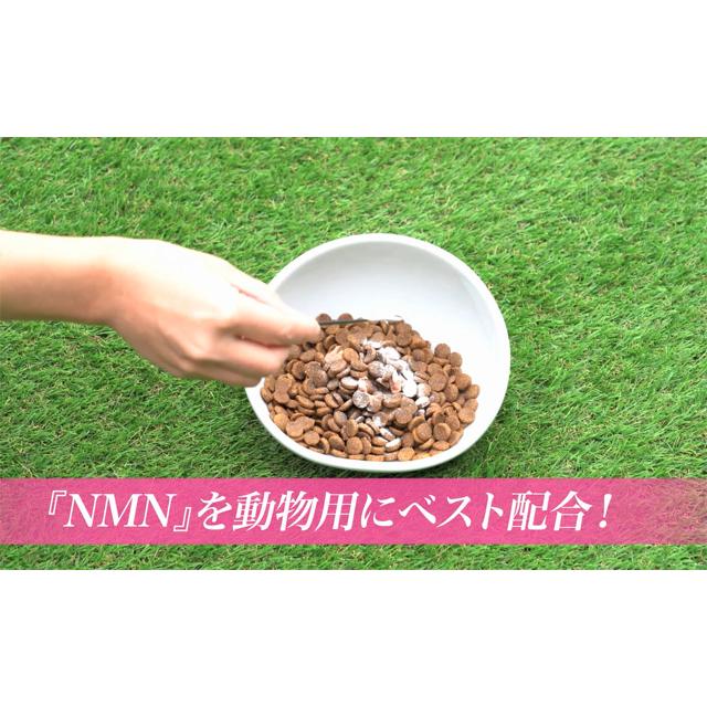 仙寿豆・犬猫用サプリメント　NMN 犬猫用 サプリメント 仙寿豆 32.1g 加齢による身体機能の低下を