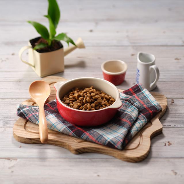 SOLVIDA ソルビダ グレインフリー チキン 室内飼育7歳以上用（シニア