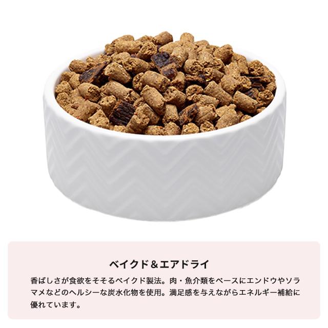 SoulMate ソウルメイト ドッグ お試しサイズ ベイクド＆エア