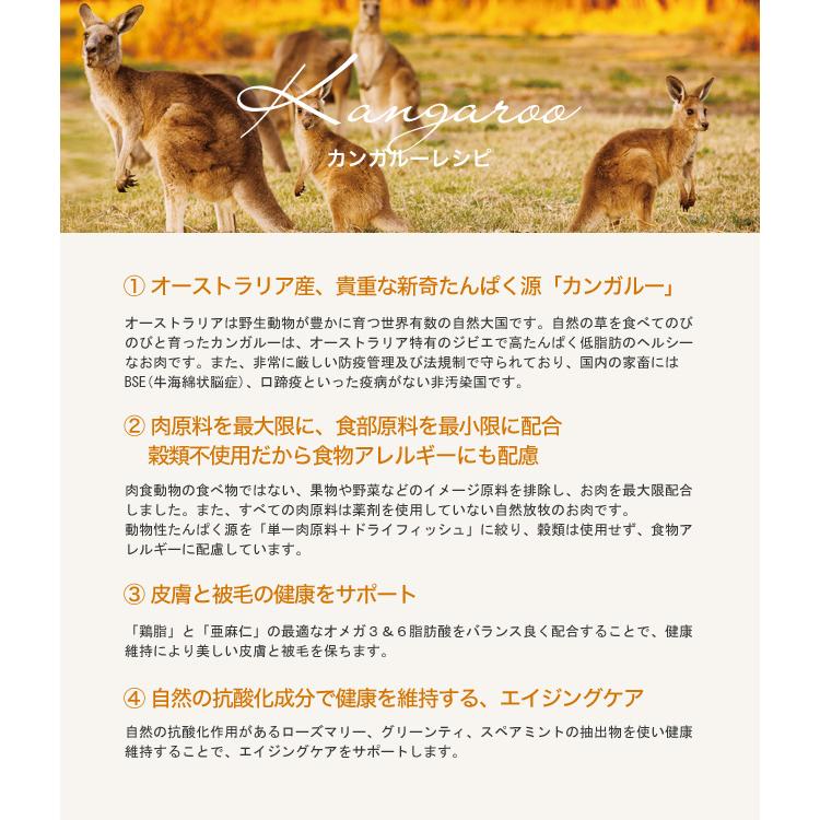 ○賞味期限2026/10/9以降○KiaOra キアオラ キャットフード カンガルー
