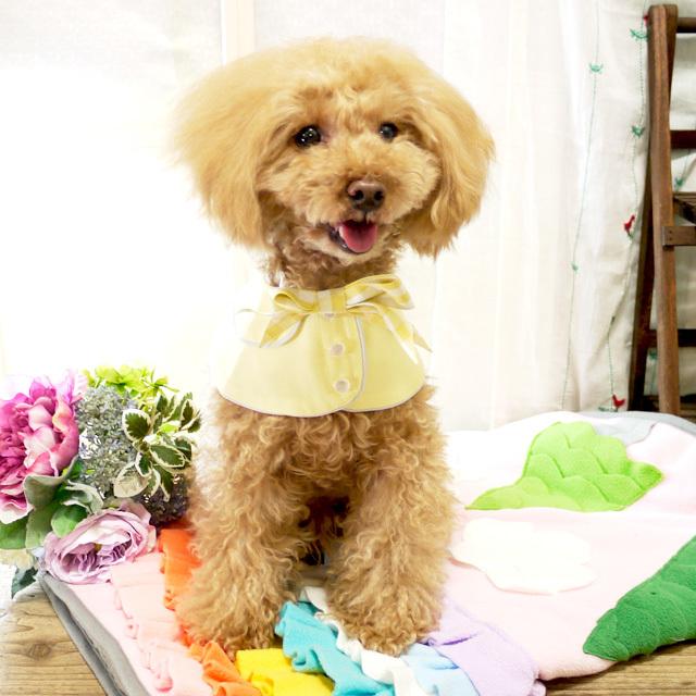 ギンガムリボンケープ ドッグウエア 犬服 小型犬 猫 ペット用品