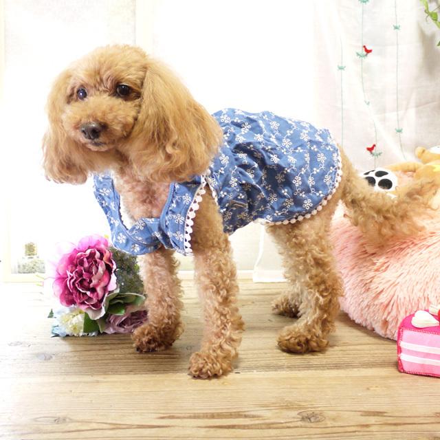 ラン　ハンドメイド犬服　ワンピース 1a7ed93327273e1210135aa2a5d57b