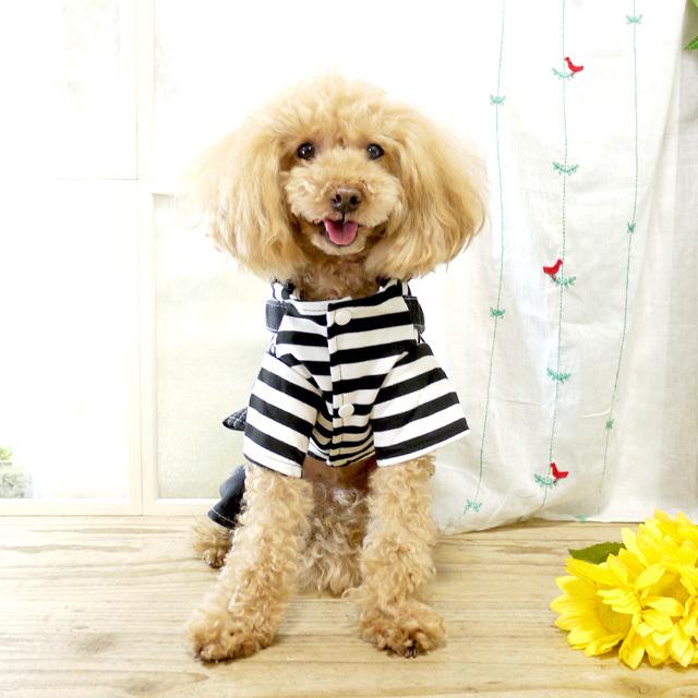 ブラックボーダーデニムサロペット ドッグウエア 犬服 小型犬 猫