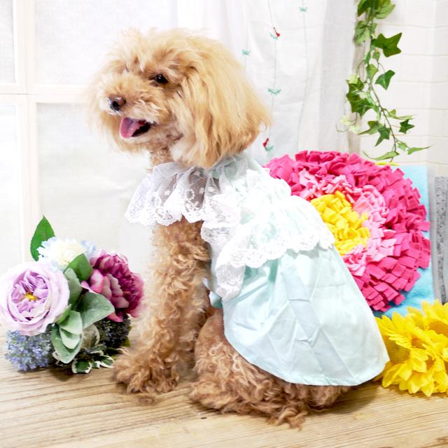 フリルレースワンピース ドッグウエア 小型犬 猫 犬服 かわいい ペット