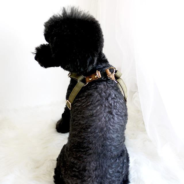 azeria アゼリア サンタクララハーネス S H209 ドッグウエア 犬服