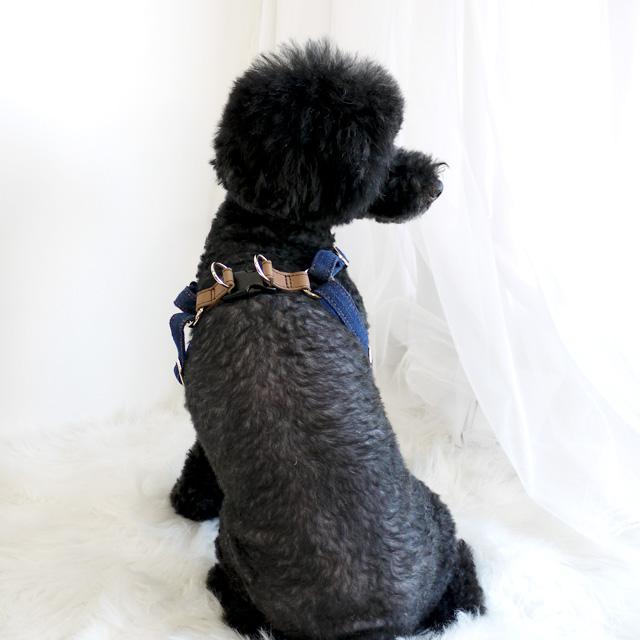 azeria アゼリア ヘンリーネック ハーネス XS H211 ドッグウエア 犬服