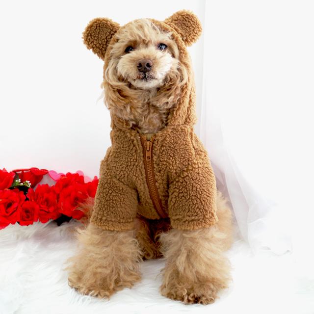 クマさんジップパーカー 小型犬用 ドッグウエア 犬服 かわいい ペット