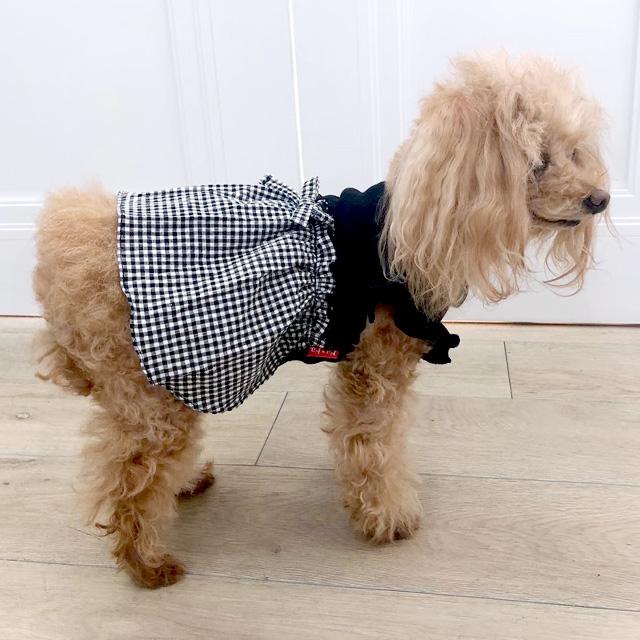 フリル袖ギンガムチェック切り替えワンピース ドッグウエア 小型犬 犬
