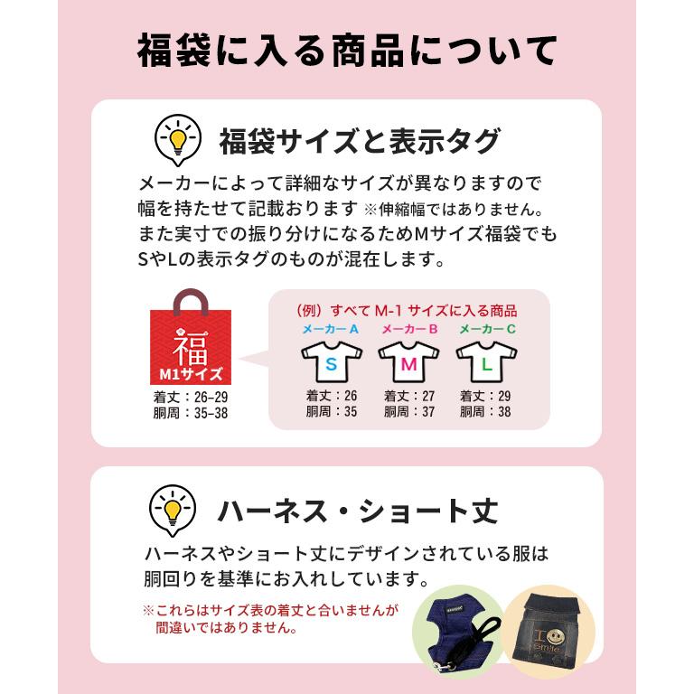 2026わんわん福袋 5点入り ドッグウエア ラッキーバッグ 小型犬 犬用