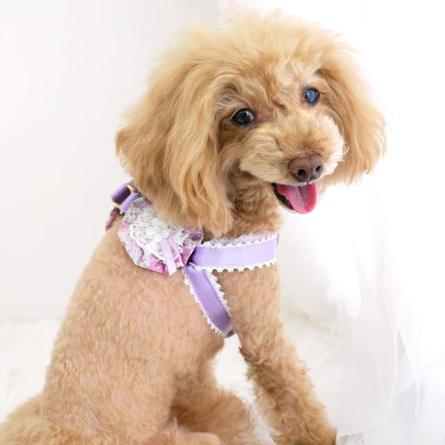 プチフラワーハーネス S DH329 Luludoll（ルルドール） お散歩 小型犬